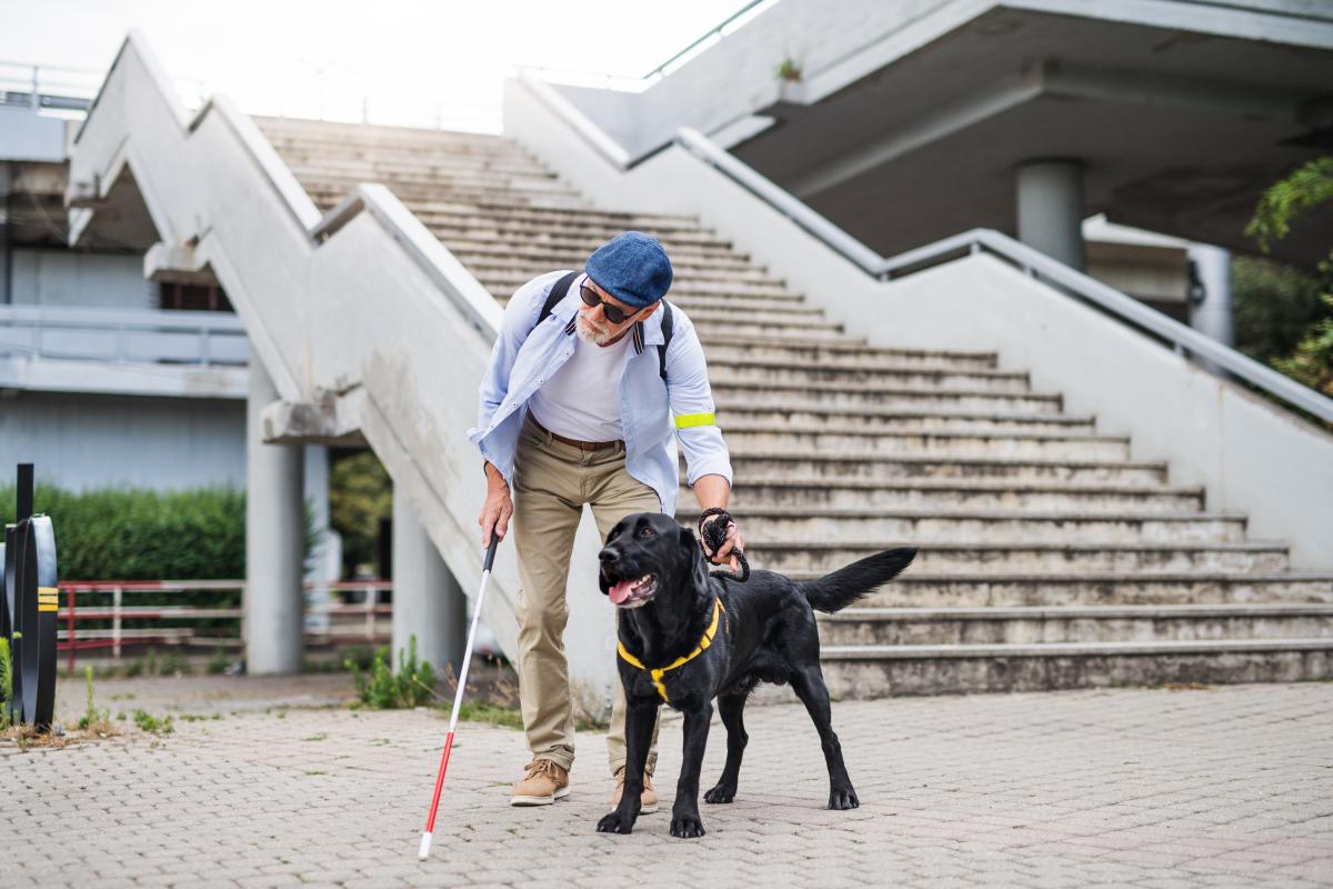 Homme tenant une canne blanche à la main en compagnie d'un chien guide